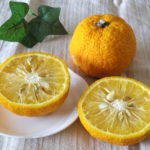 ジャバラ（柑橘類）