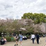 今日の鶴舞公園（2023年桜も終わりの頃）